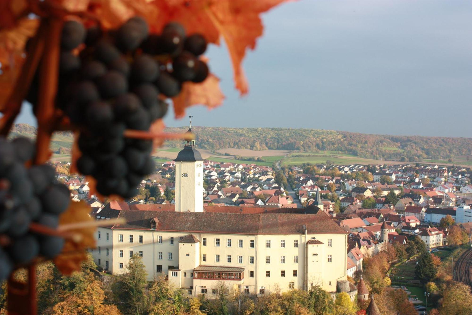 Gundelsheim  Schell Schokoladen酒店 外观 照片